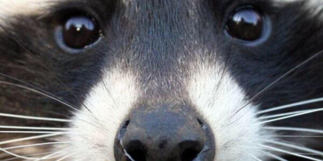 Cartyboy78's profile banner image