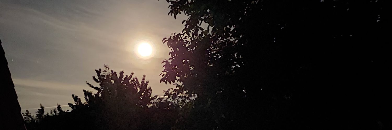 hnoja's profile banner image