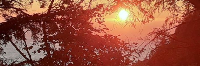 RomyCarver's profile banner image