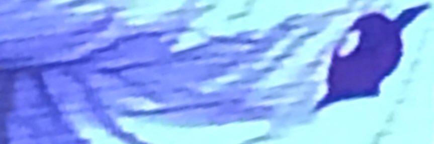 2020Sounds's profile banner image