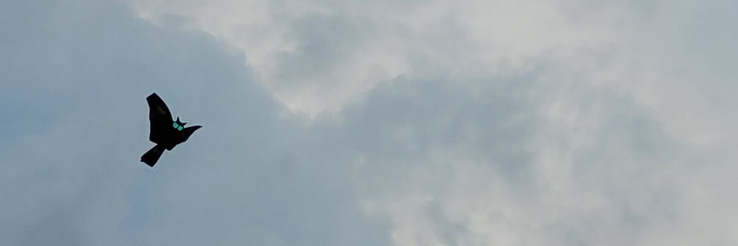 HCR_CA15's profile banner image