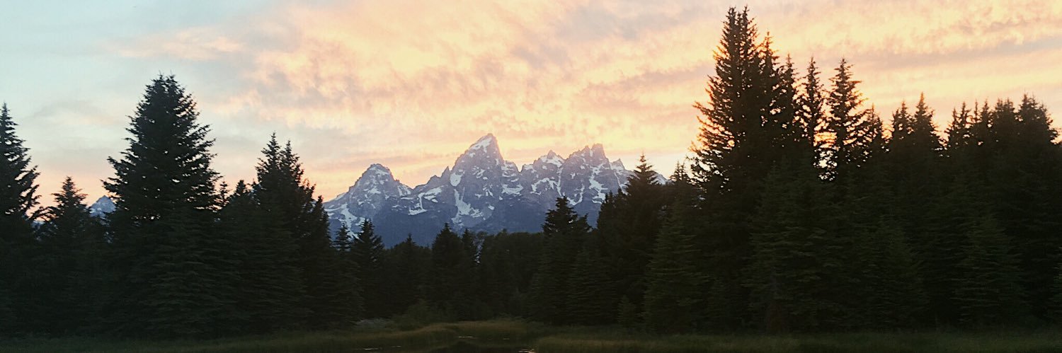 LOngredundant's profile banner image