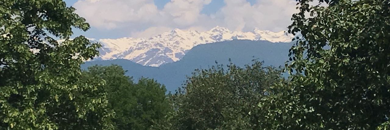 Teymuraz Antiya banner