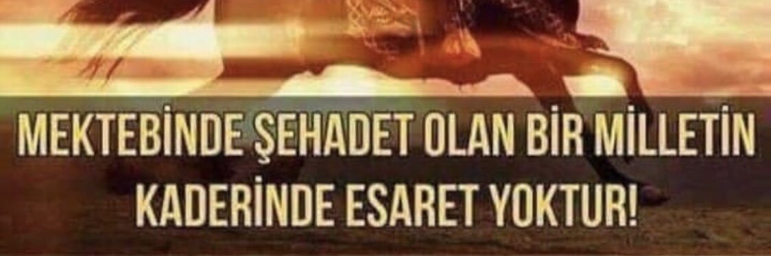 Fatih Tekcan banner