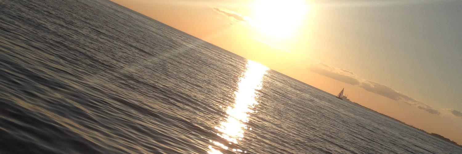 Viktoria Dahlgren banner