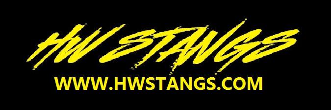 HWStangs's profile banner image