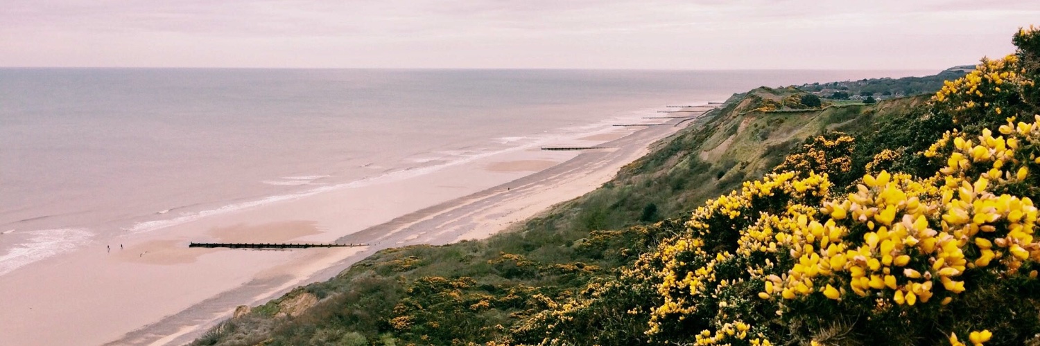 carolewalkercw's profile banner image