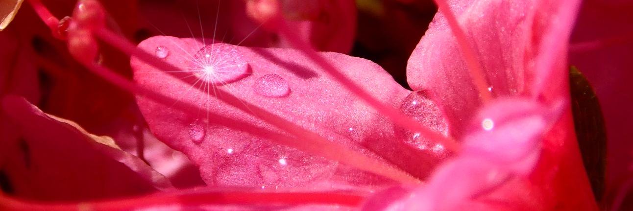 Agstreasures's profile banner image