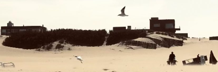AntopR25's profile banner image