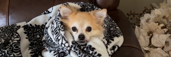 skatelynnx Profile Banner