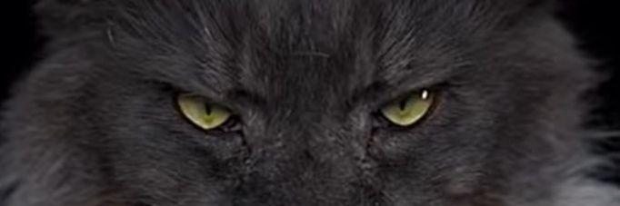 HORN458's profile banner image