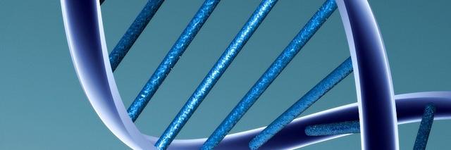 katic_i's profile banner image