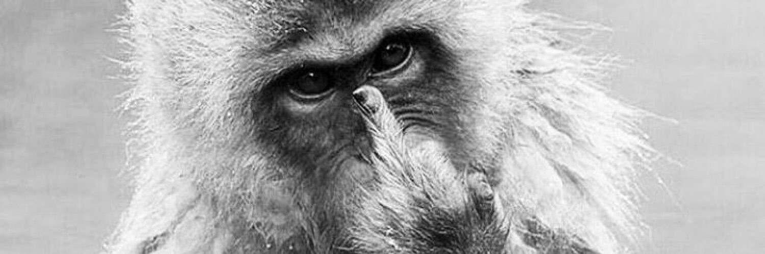 ka_iqueberga's profile banner image
