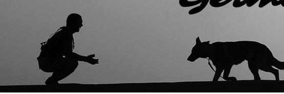 GSD_Owners's profile banner image