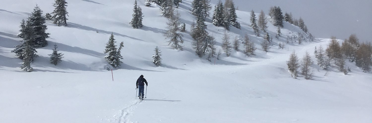 Gregor Rosenkranz banner