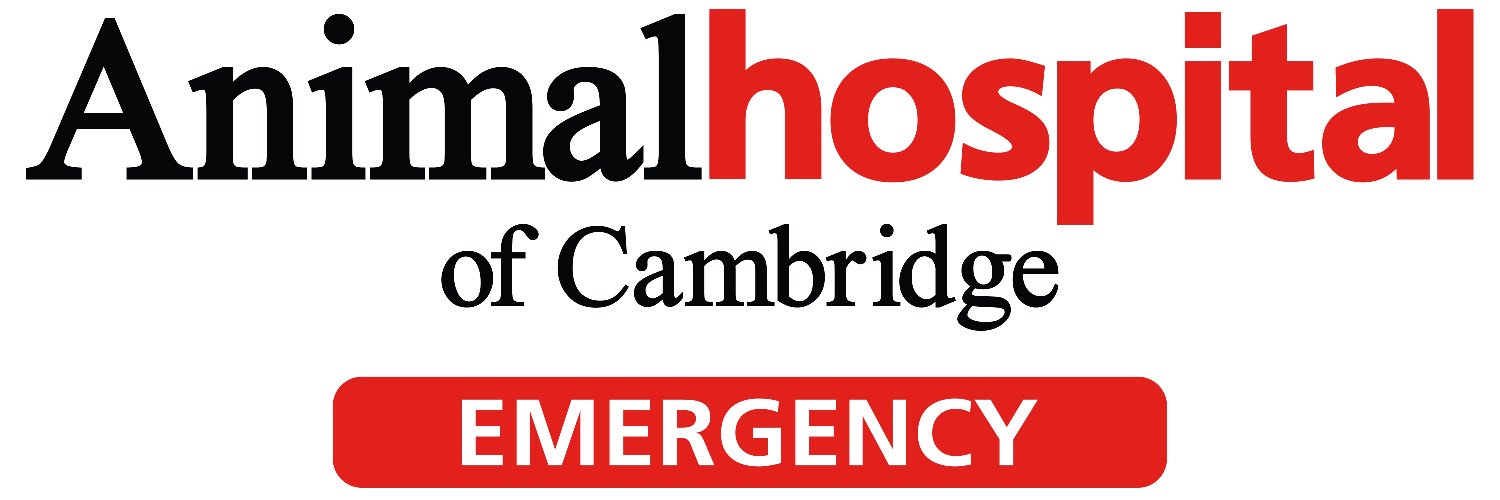 AHOC's profile banner image