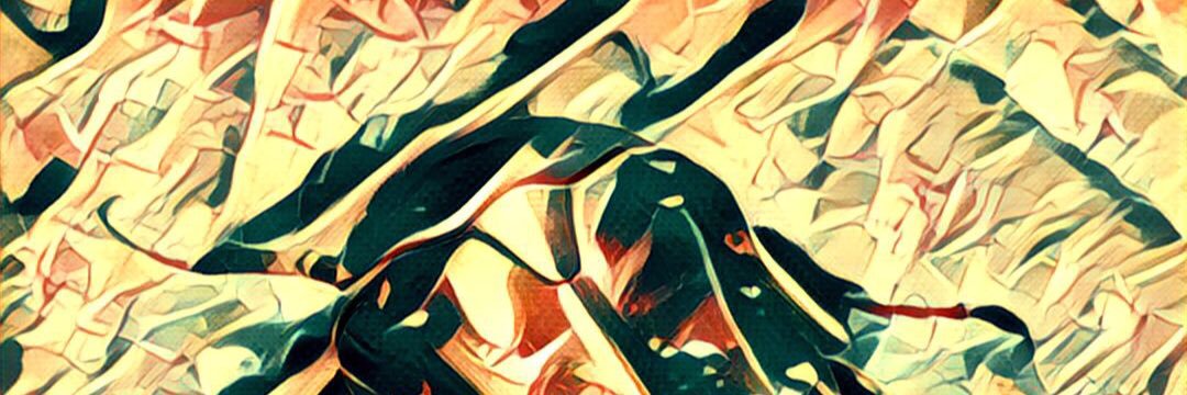 Shun__F's profile banner image
