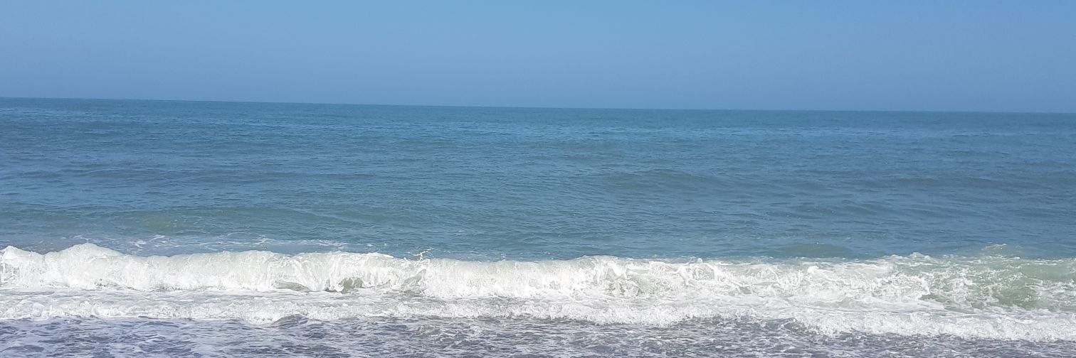 Graciela banner