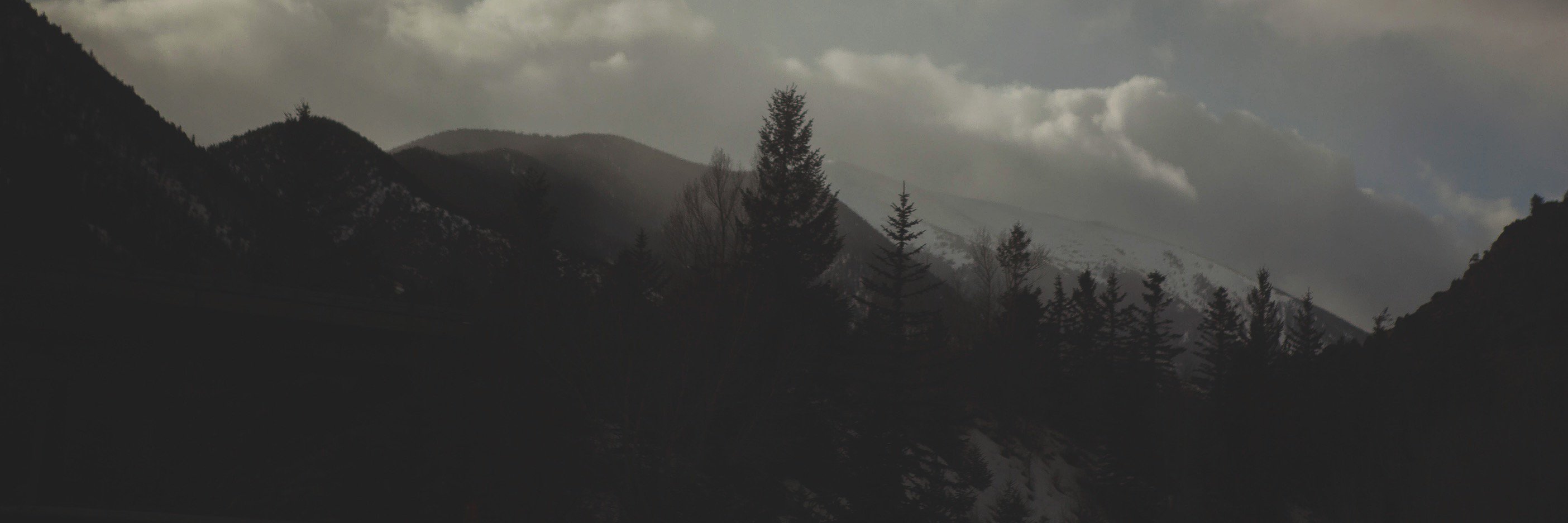 whitneywiatt's profile banner image