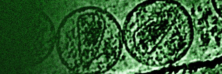 EMDB - EMPIAR @EBI banner