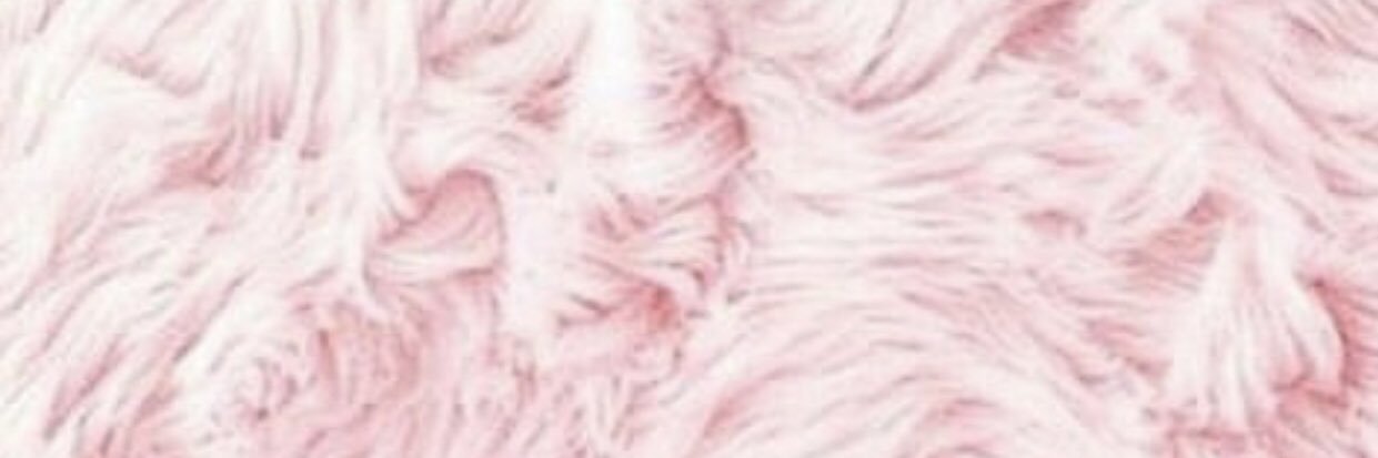 l9sh20's profile banner image