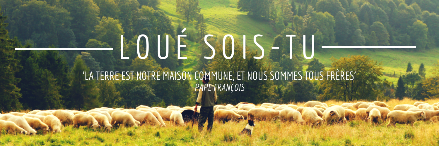Laudato_si's profile banner image