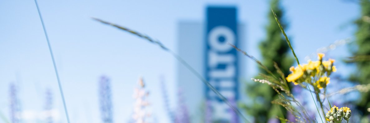 Kiilto's profile banner image