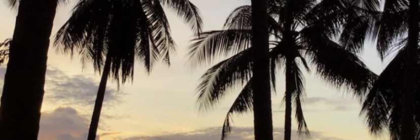 SarahDunkertonx's profile banner image
