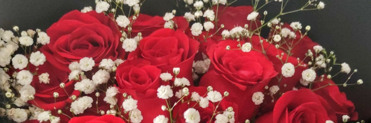 tracymvilla's profile banner image