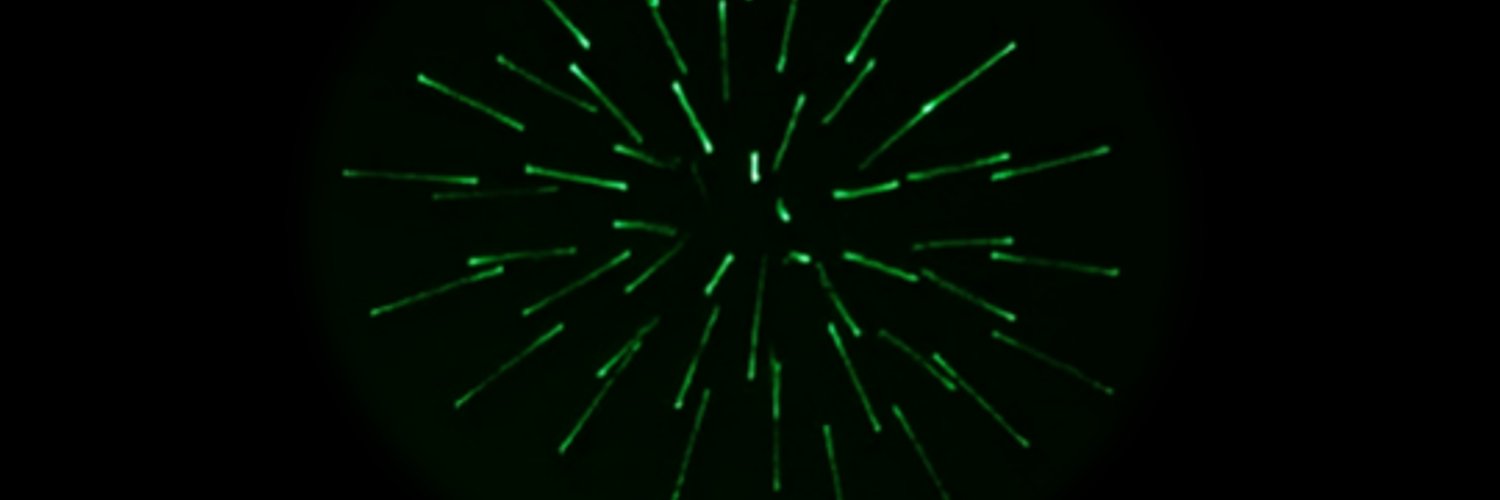 Al Haddrell's banner
