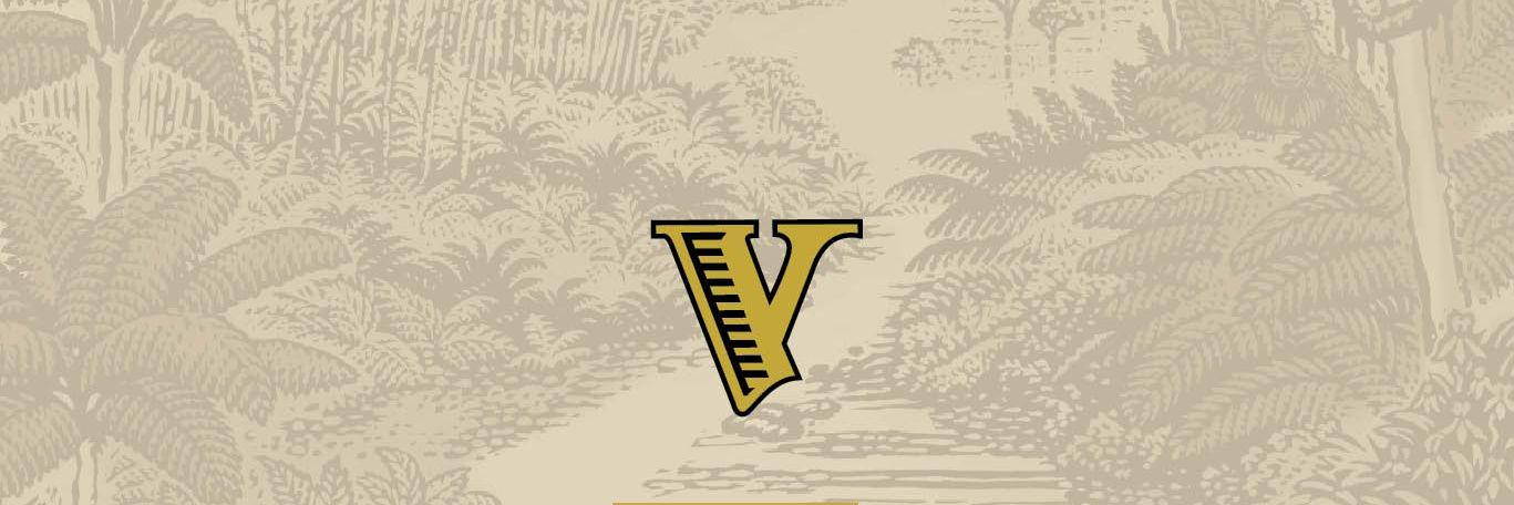 VirungaPrecious's profile banner image