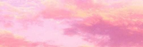laleetapia's profile banner image