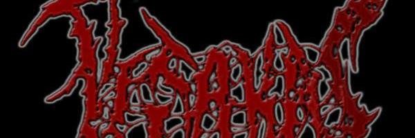 souravkoer's profile banner image