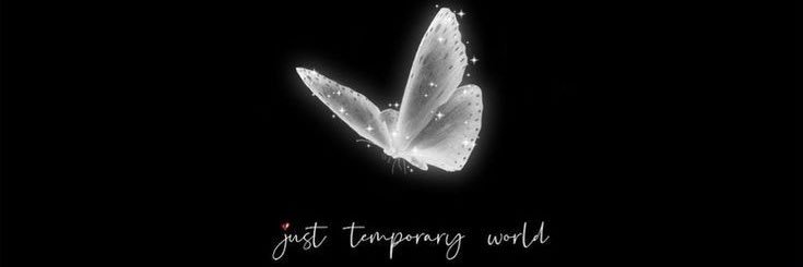 LBintM29's profile banner image