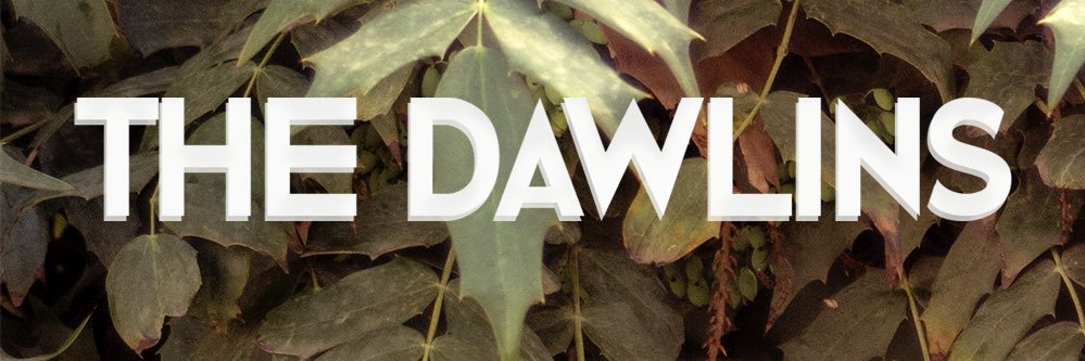 The Dawlins banner