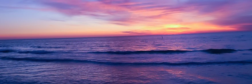 meganmuffley's profile banner image
