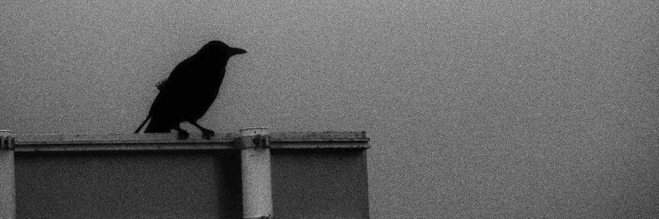 uncloudied's profile banner image