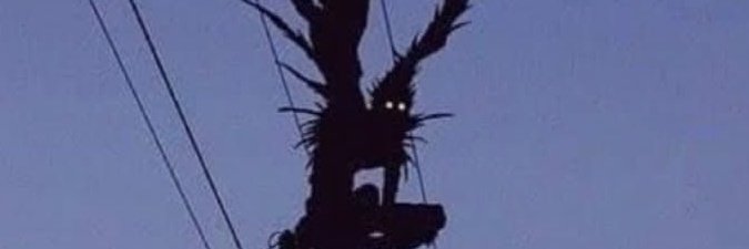 _zxenox's profile banner image