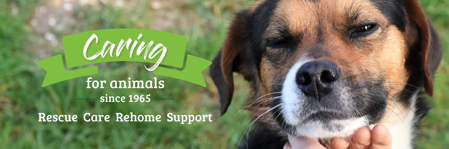 MG Animal Rescue (@MGAnimalRescue) / Posts / X