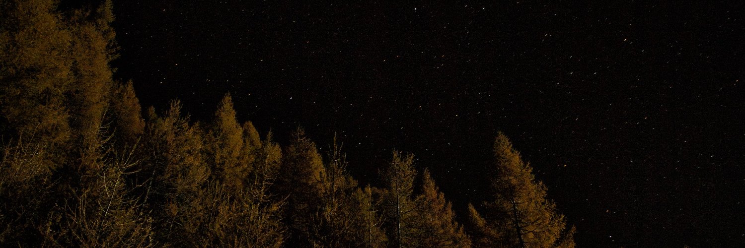 _insanjati's profile banner image