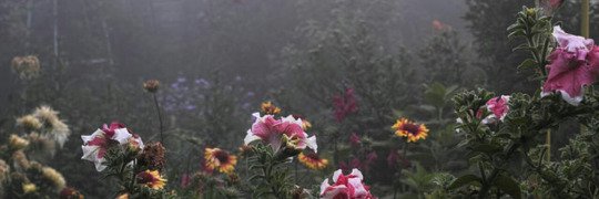 whaaaatson's profile banner image