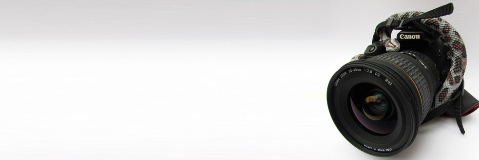 DomSurrey's profile banner image