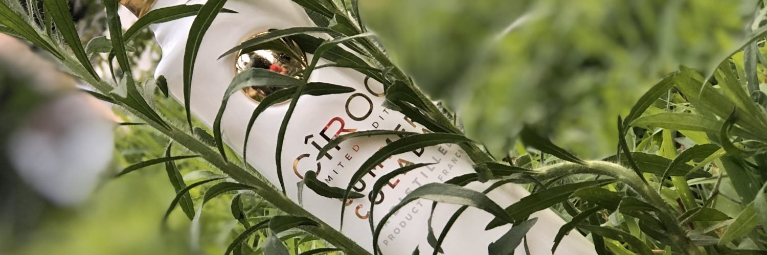 PeterKash5's profile banner image