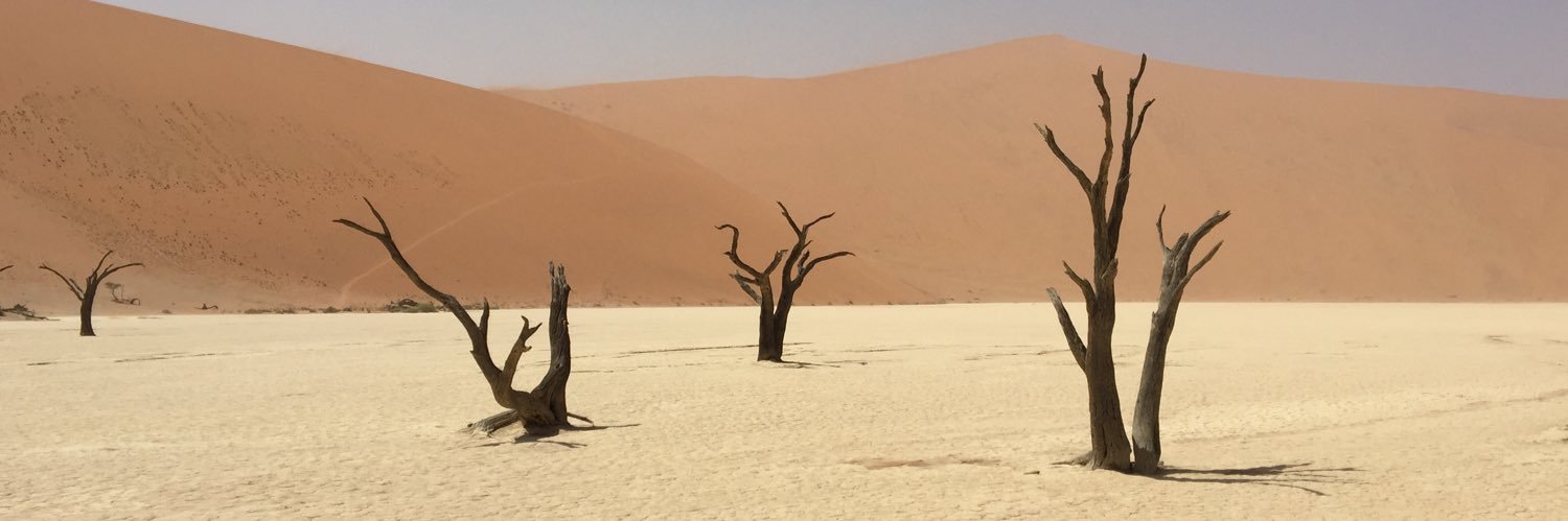 aleccrawfordTO's profile banner image