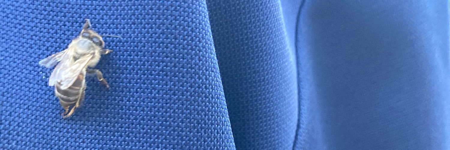 25miguelc's profile banner image