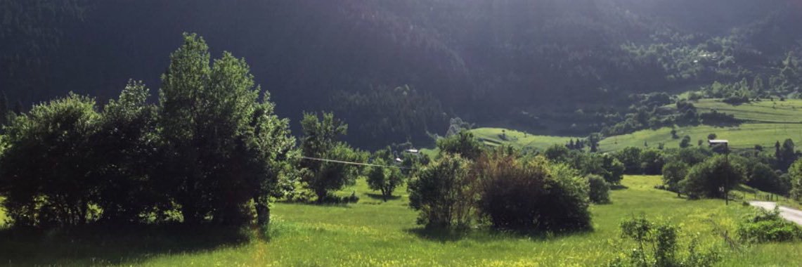 seymayazoglu's profile banner image