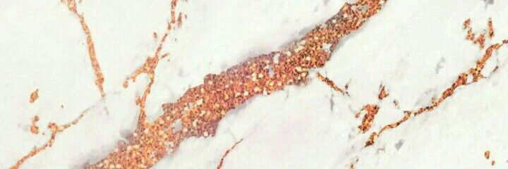 jonna2308's profile banner image