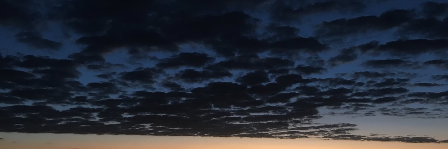 Jennifer Fitchett banner