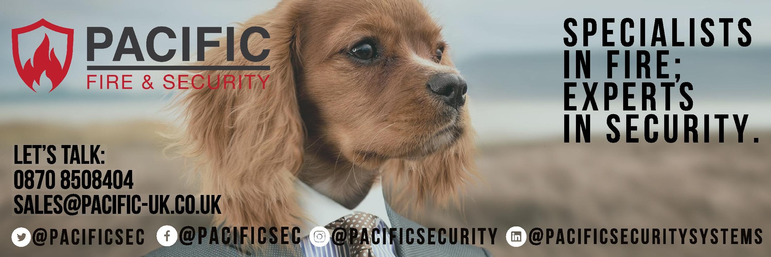 Pacificsec's profile banner image