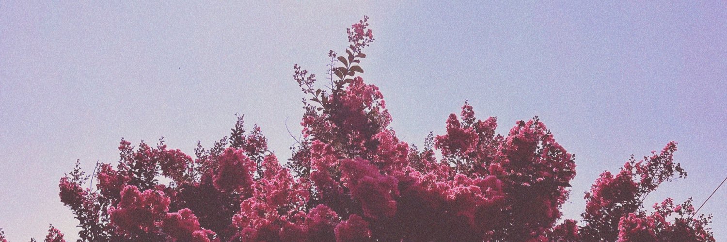 Dfarrington1226's profile banner image